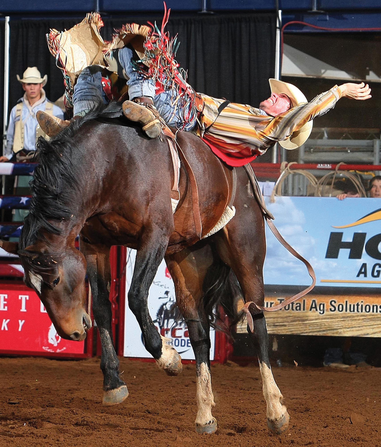 rodeo buck.jpg